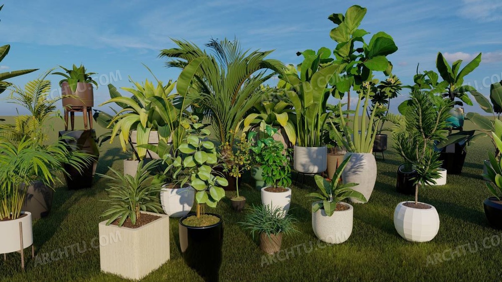 [精品]32款Lumion9精品模型素材系列室内外植物绿植盆景
