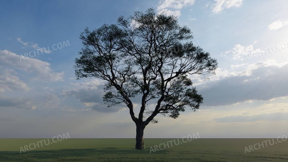 Lumion10精品模型一颗美丽的大树