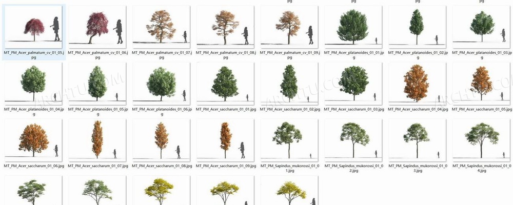 [精品]69款3DMAX高精度乔木树木草木植物模型