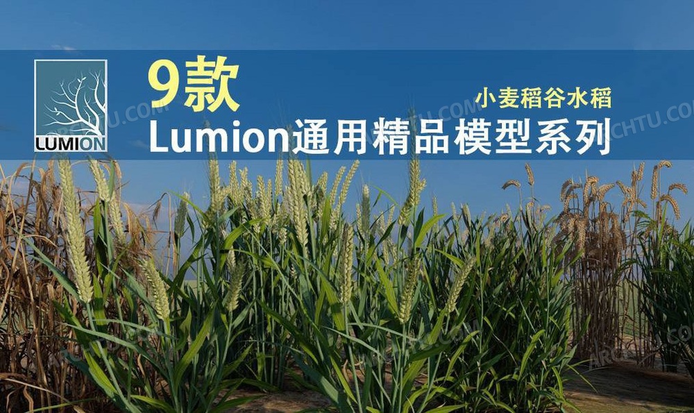 [精品]9款Lumion各版本通用精品模型素材库小麦稻谷水稻