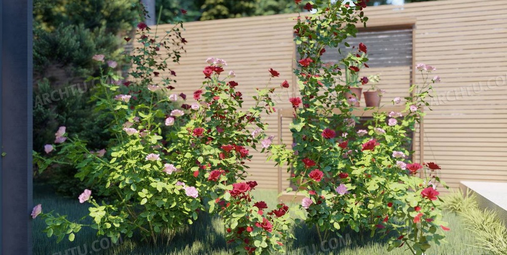 6款Lumion9精品模型素材系列玫瑰花模型