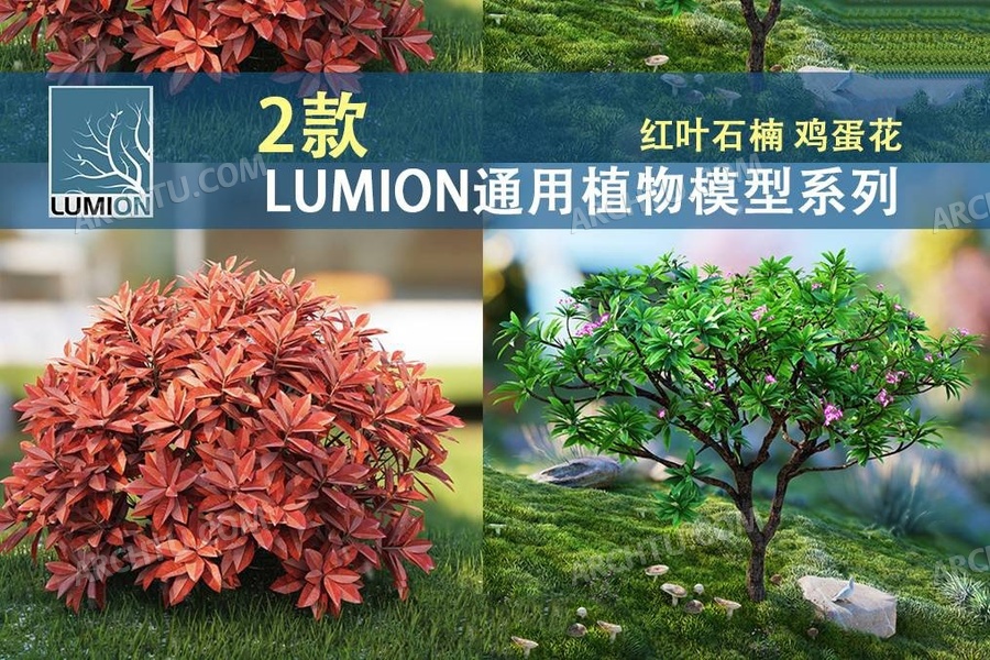 [lumion]2组Lumion通用园林树种植物模型-红叶石楠鸡蛋花模型素材