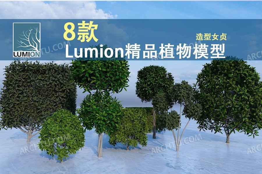 [lumion]8组Lumion通用渲染表现模型合集资源 造型女贞园林建筑景观规划灌木造景植物
