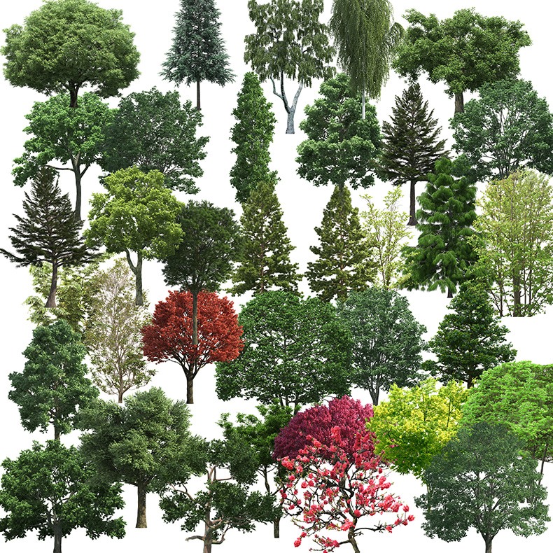 园林景观设计PSD古建树木花草植物参与者物鸟瞰图效果图PS-景观建筑资源