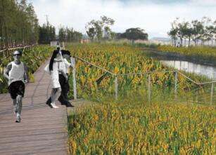 湖南绿色低碳山水田园新城复合生态城市规划设计景观设计方案