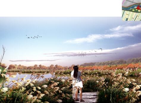 方案文本_辽宁国家试点湿地公园景观景观规划设计文本
