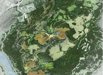 方案文本_重庆绿色养生森林公园景观总规设计方案