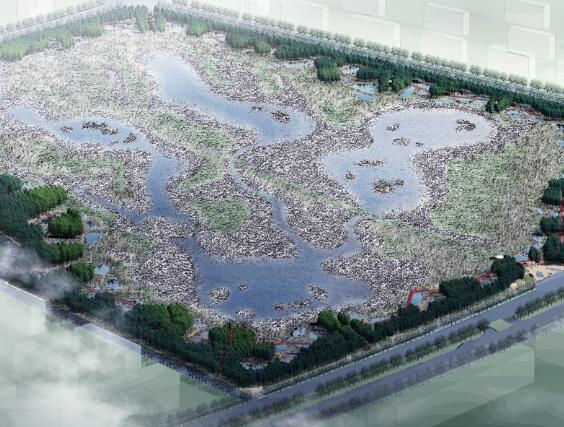方案文本_辽宁哈尔滨群力新区生态湿地公园景观景观方案设计