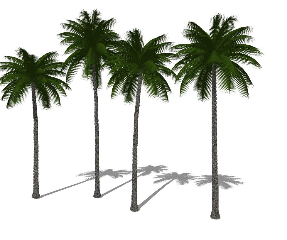 3D热带树sketchup模型28-SU建筑景观室内模型