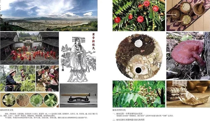 中华中医文化科普基地-某药类植物园总体规划设计方案（129页高清JPG文件